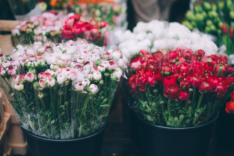 fleuriste-LA ROQUETTE SUR VAR-min_farmers-market-1209712